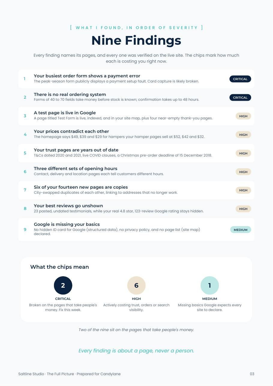 Sample Nine Findings page ranked by severity