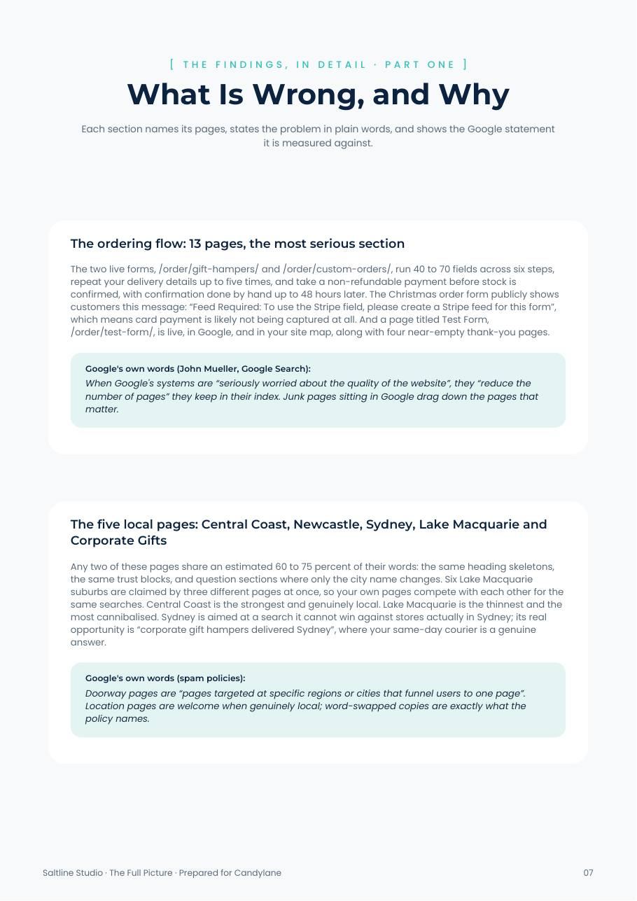 Sample What Is Wrong and Why page quoting Google's own words
